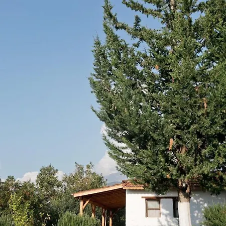 Yuva Eco Holiday Yoga Retreat Rezort