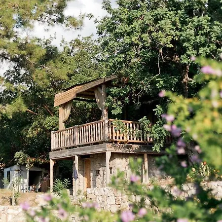 Yuva Eco Holiday Yoga Retreat