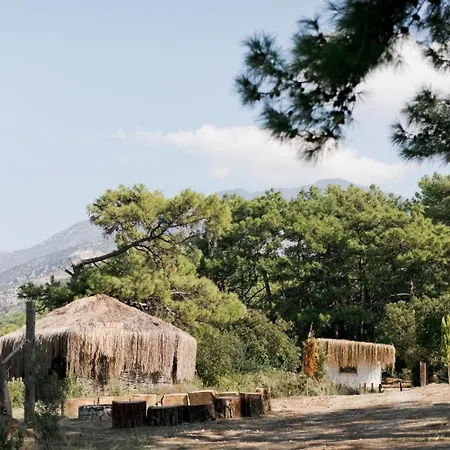 Yuva Eco Holiday Yoga Retreat *