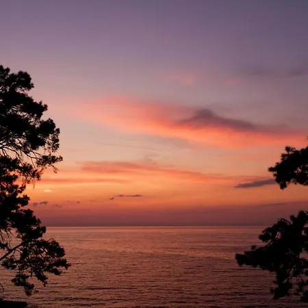 Yuva Eco Holiday Yoga Retreat