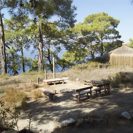 Yuva Eco Holiday Yoga Retreat Rezort *