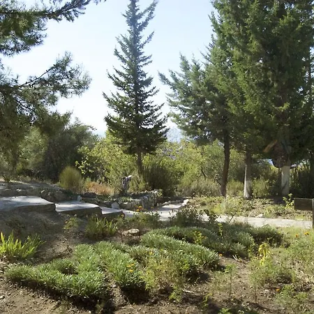 Yuva Eco Holiday Yoga Retreat * Faralya
