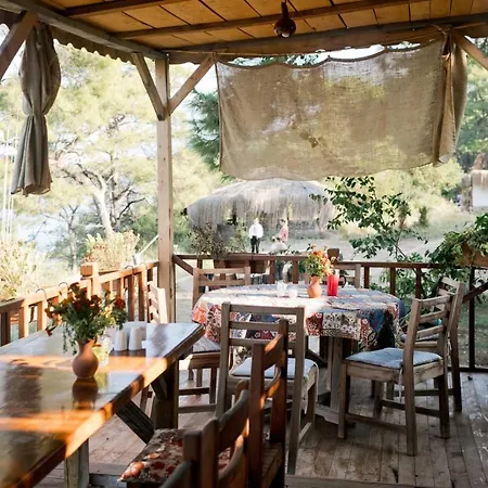 리조트 Yuva Eco Holiday Yoga Retreat *