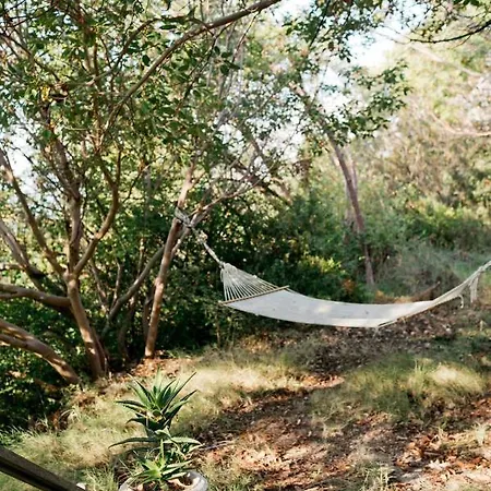Yuva Eco Holiday Yoga Retreat 리조트 파랄리아