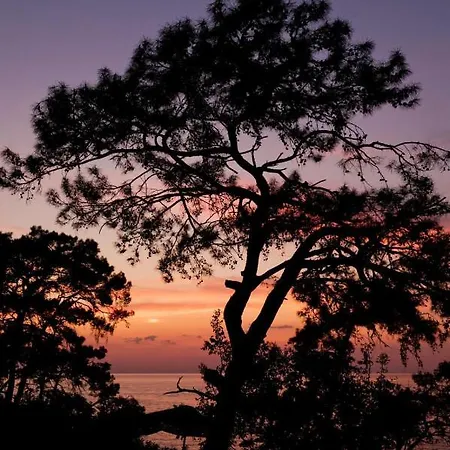 Yuva Eco Holiday Yoga Retreat 리조트 파랄리아