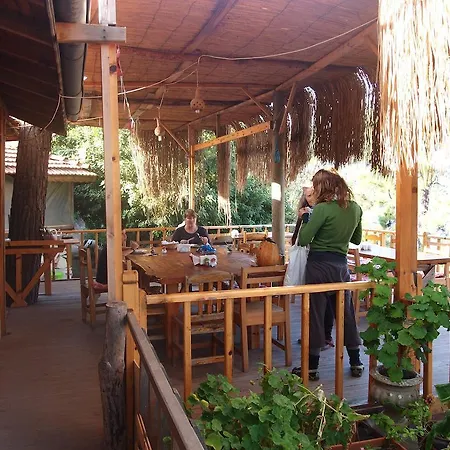 Yuva Eco Holiday Yoga Retreat 리조트