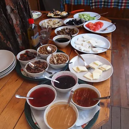 Yuva Eco Holiday Yoga Retreat 파랄리아