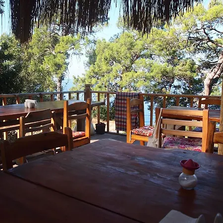 리조트 Yuva Eco Holiday Yoga Retreat *