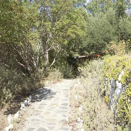 리조트 Yuva Eco Holiday Yoga Retreat